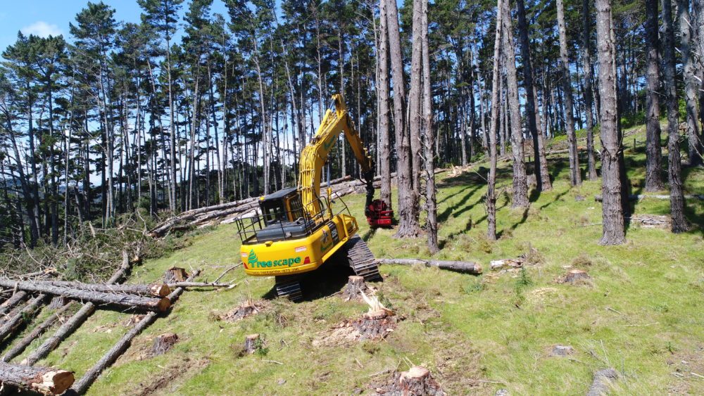 Land Clearing Project_Waratah Head attachement