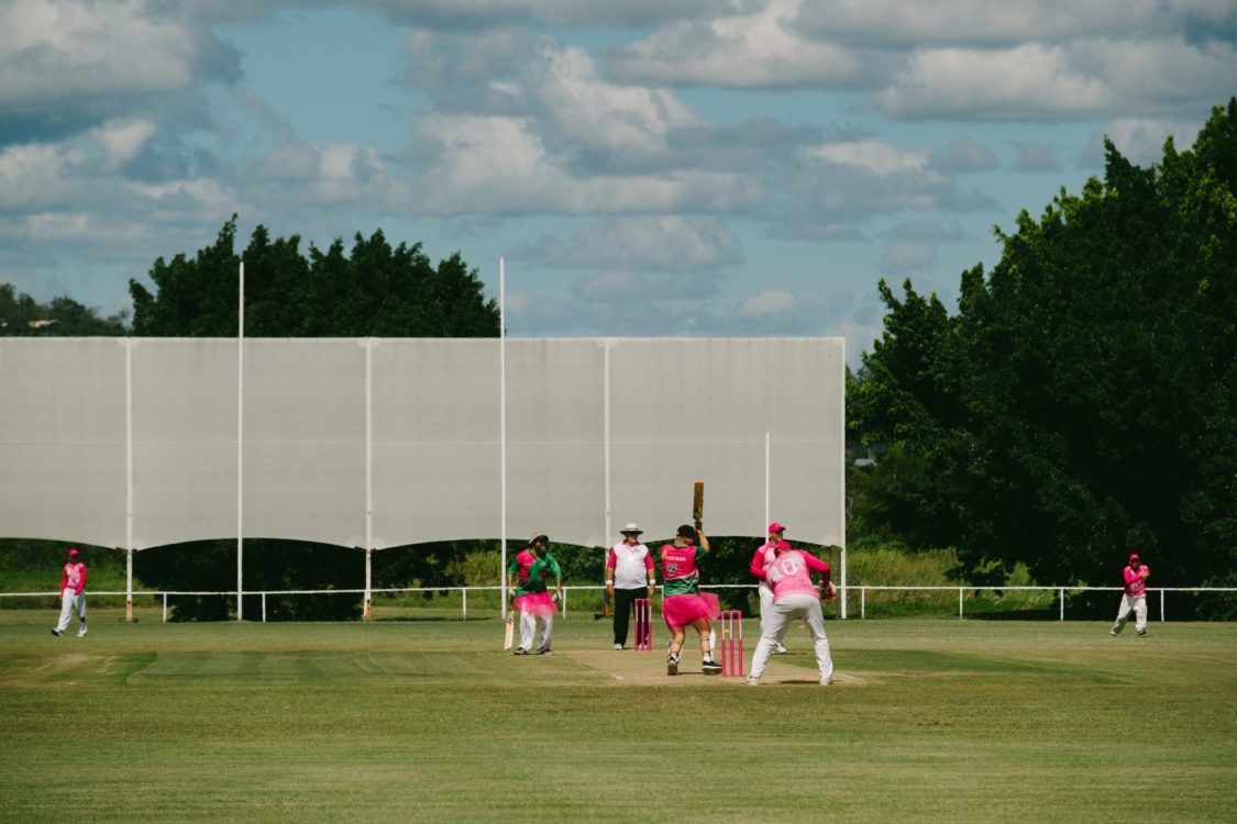 Pink Stumps day Treescape