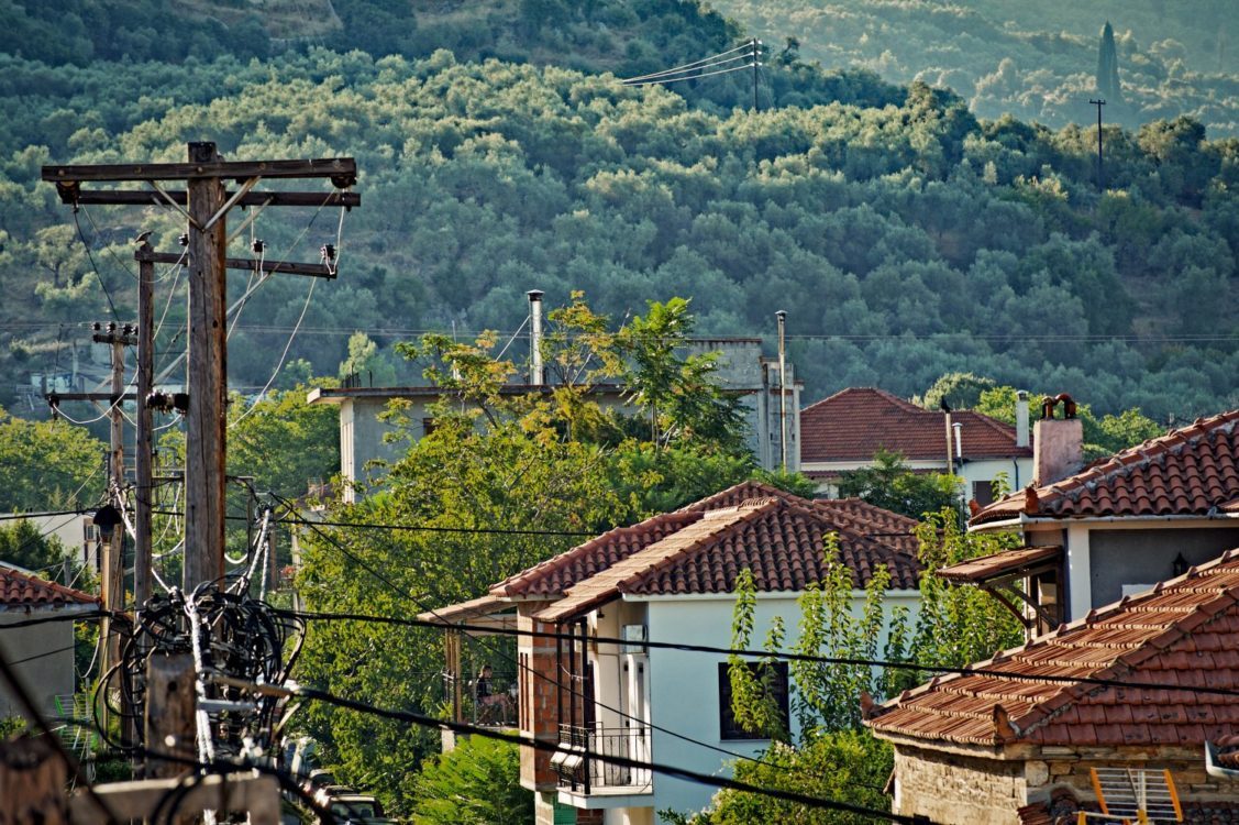 Trees around Power lines