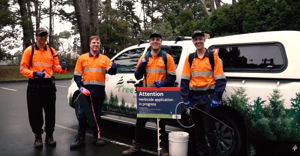 Treescape Ecology Team