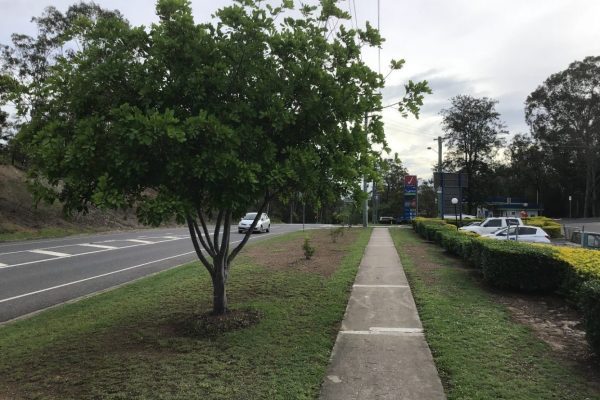 Karana Downs, Wacol. The site a month before works begin.