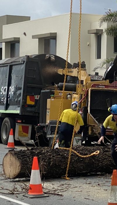 Heavy Commercial - Crane Tree Removal Queensland, Australia