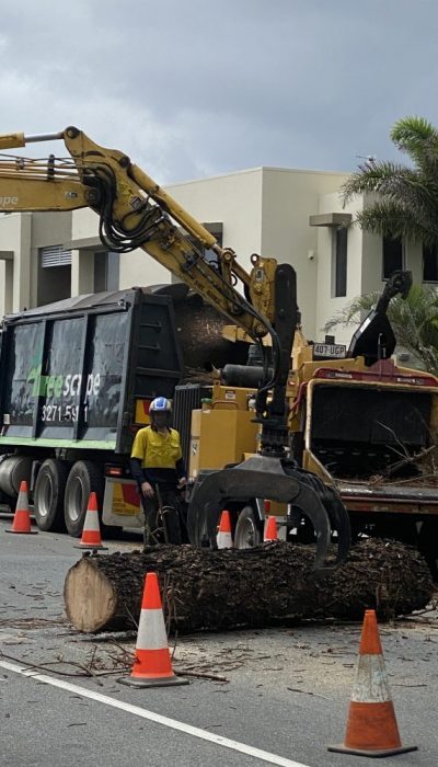 Heavy Commercial - Crane Tree Removal Queensland, Australia