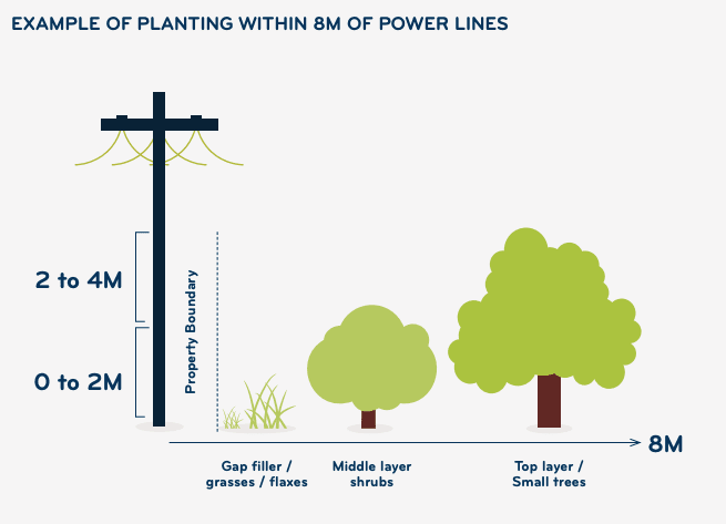 Planting-within-8M