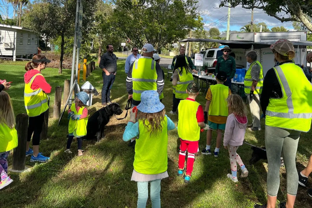 Consulting Arborist Brisbane